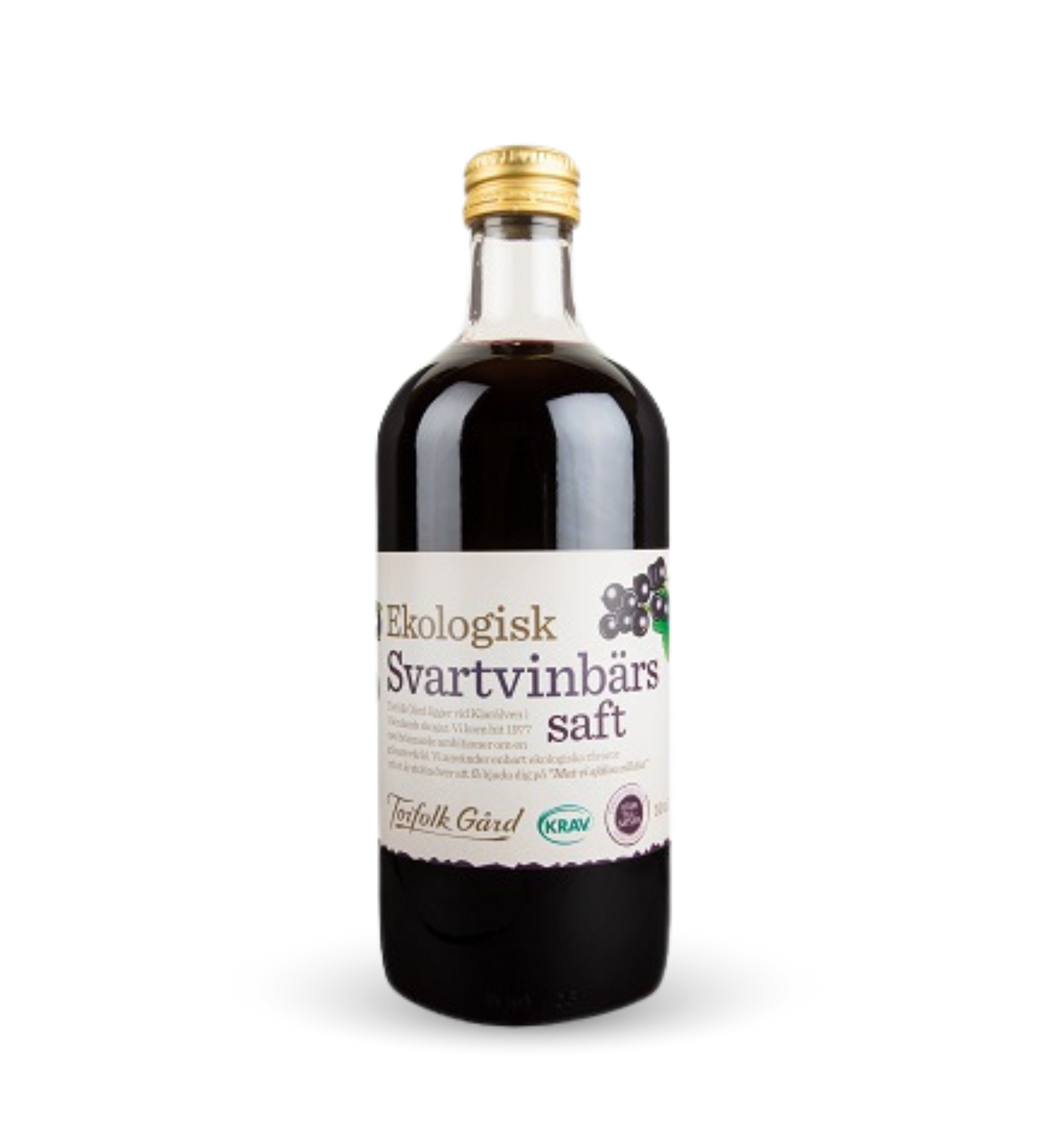 Ekologisk Svartvinbärssaft
