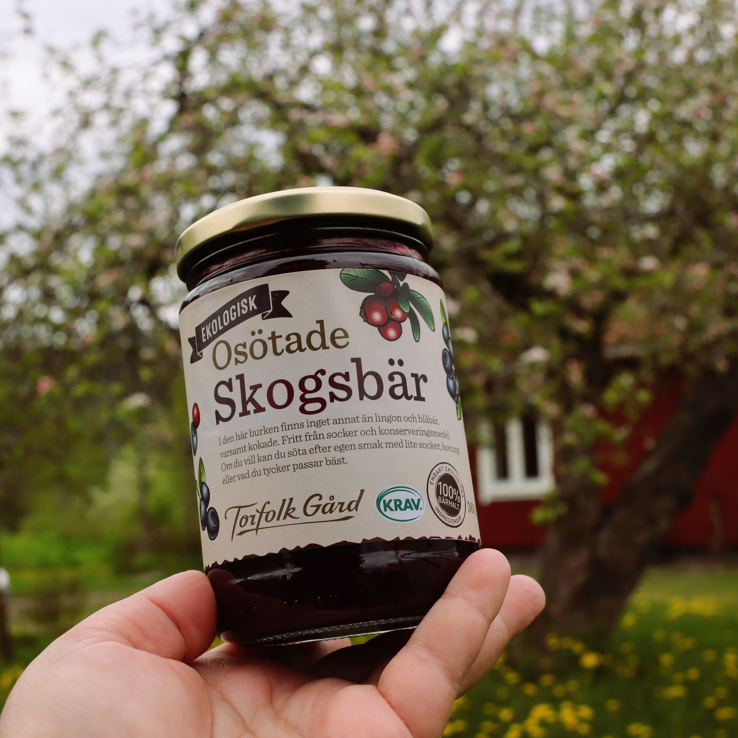 Organic Unsweetened Lingonberries
